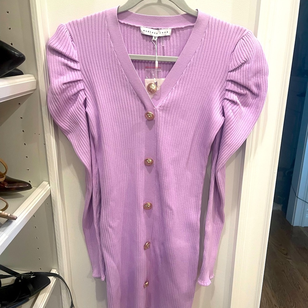 Vici Endless Rose Dress